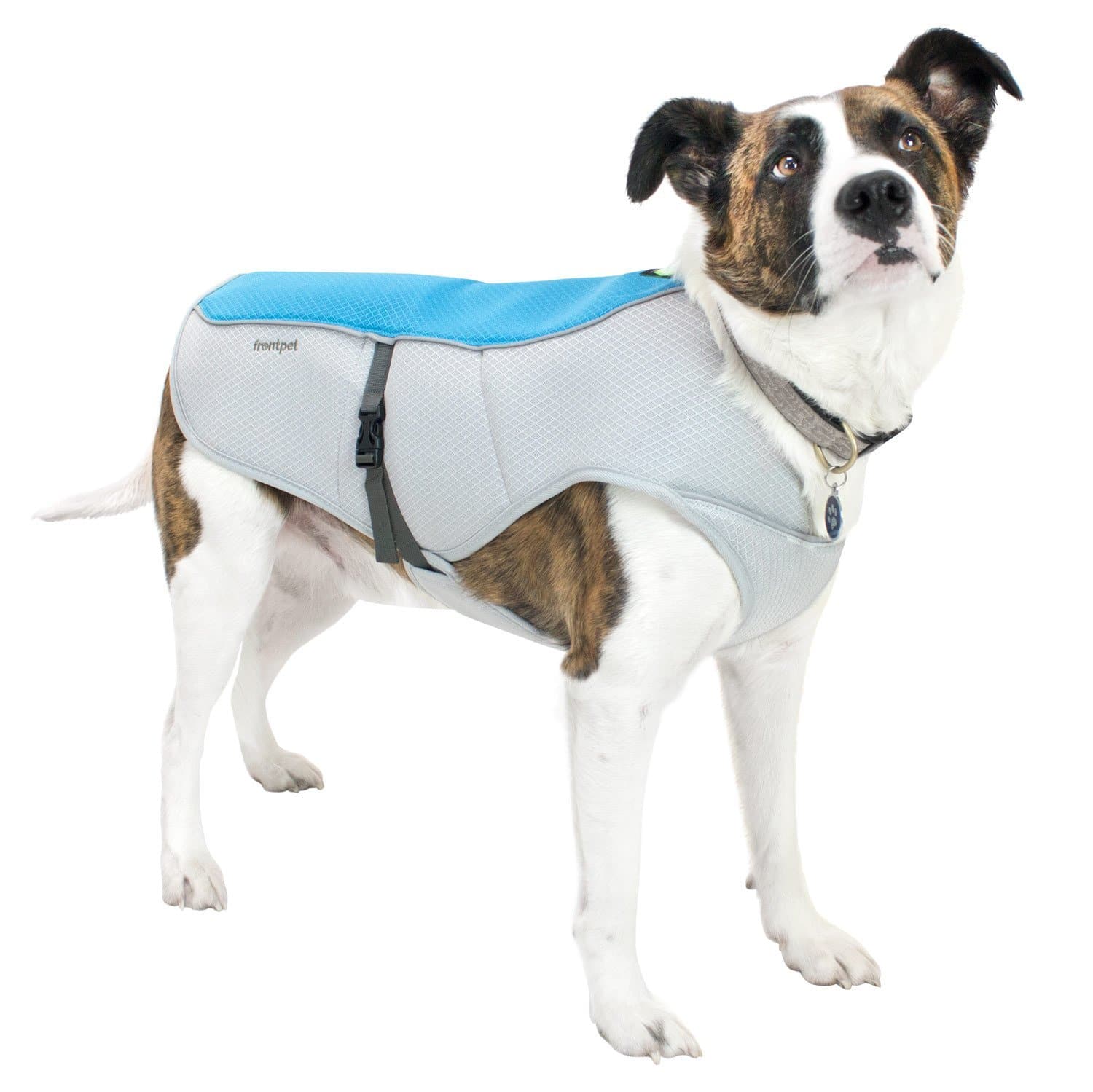 best cooling coats for dogs