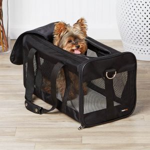 soft sided dog crate canada