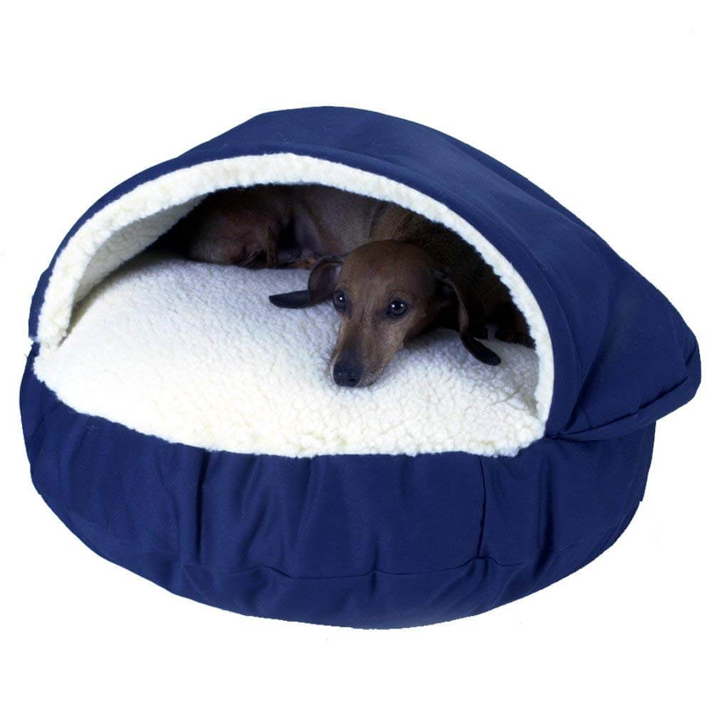 The Best Heated Dog Beds in 2023 PawGearLab