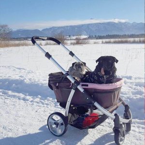 pushchairs for large dogs