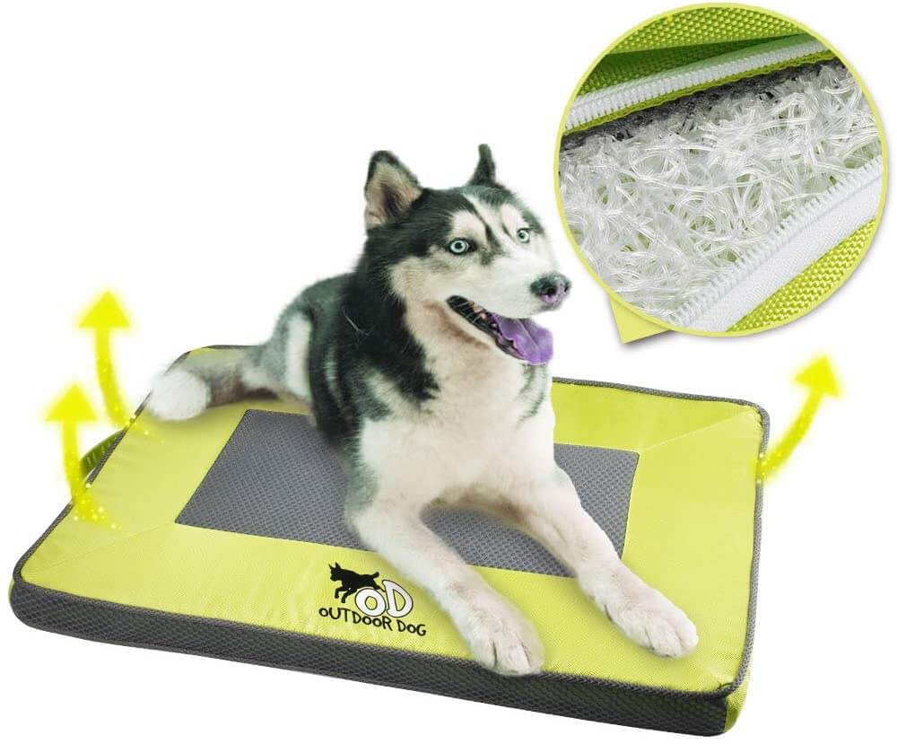 The Best Dog Cooling Mats in 2023 PawGearLab