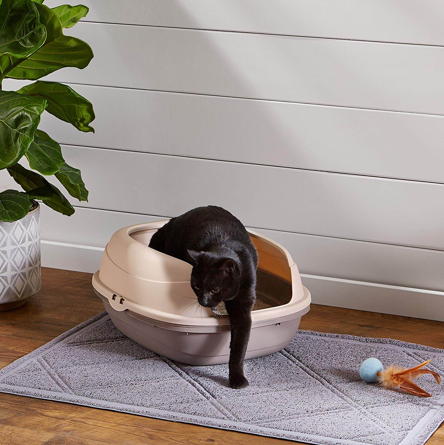 The Best Top Entry Cat Litter Boxes In 2023 PawGearLab