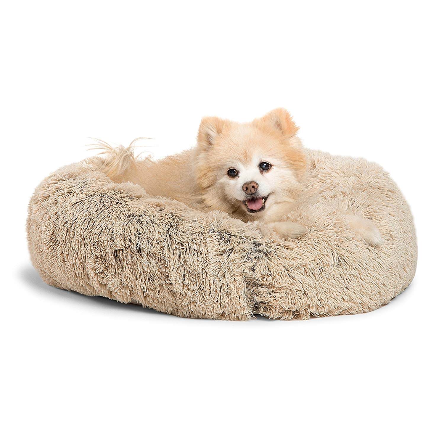 The Best Small Dog Beds in 2023 PawGearLab