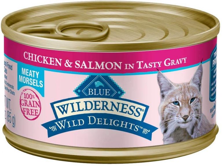 the-best-diabetic-cat-food-in-2023-pawgearlab