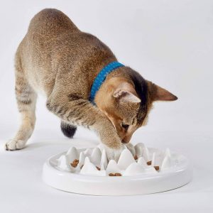 best cat slow feeder bowl