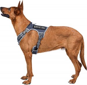 FIVEWOODY Dog Harness Grey XL 2