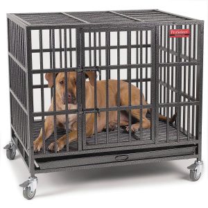 strong dog crates