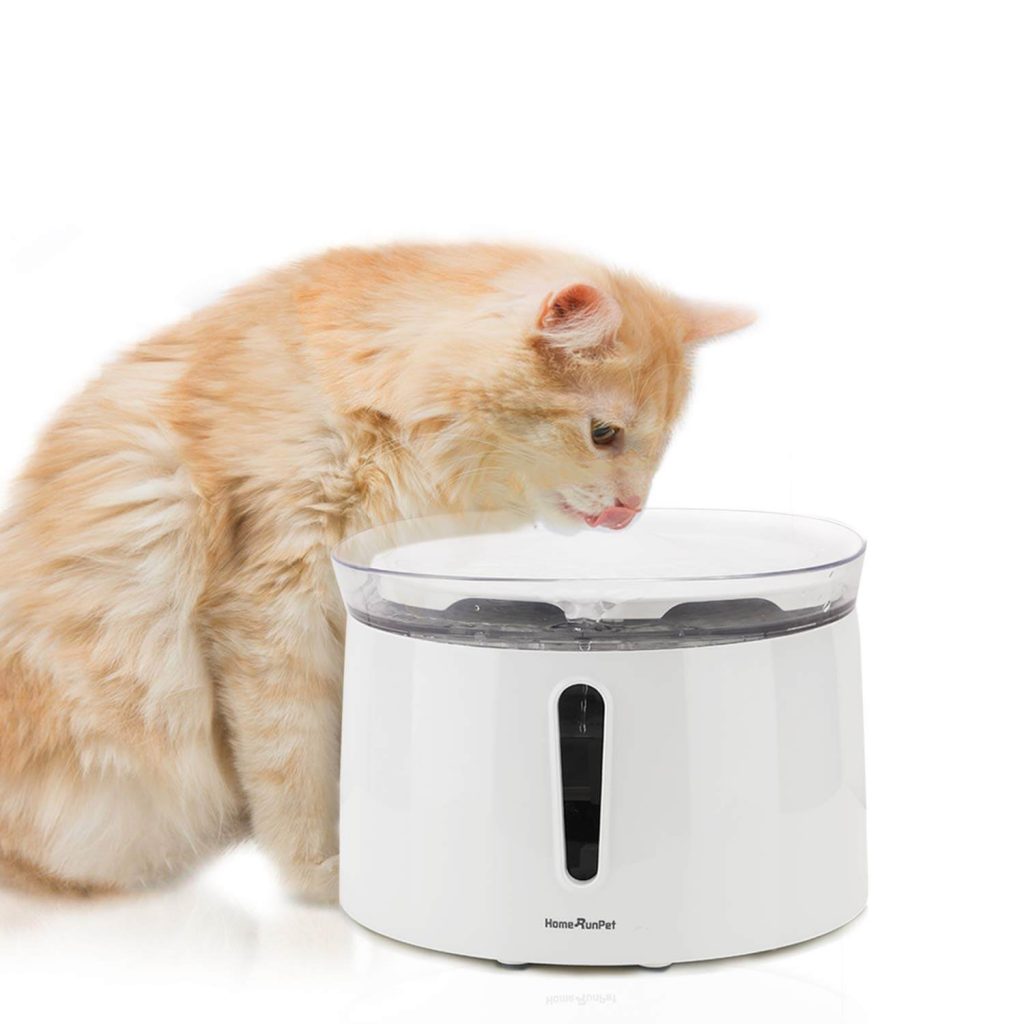 The Best Cat Water Fountains in 2021 | PawGearLab