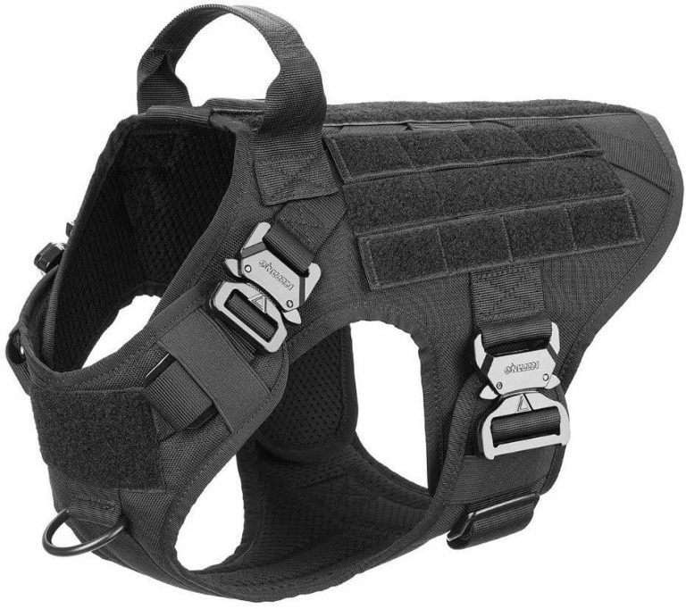 The Best Tactical Dog Harnesses (Reviews) in 2023 | PawGearLab