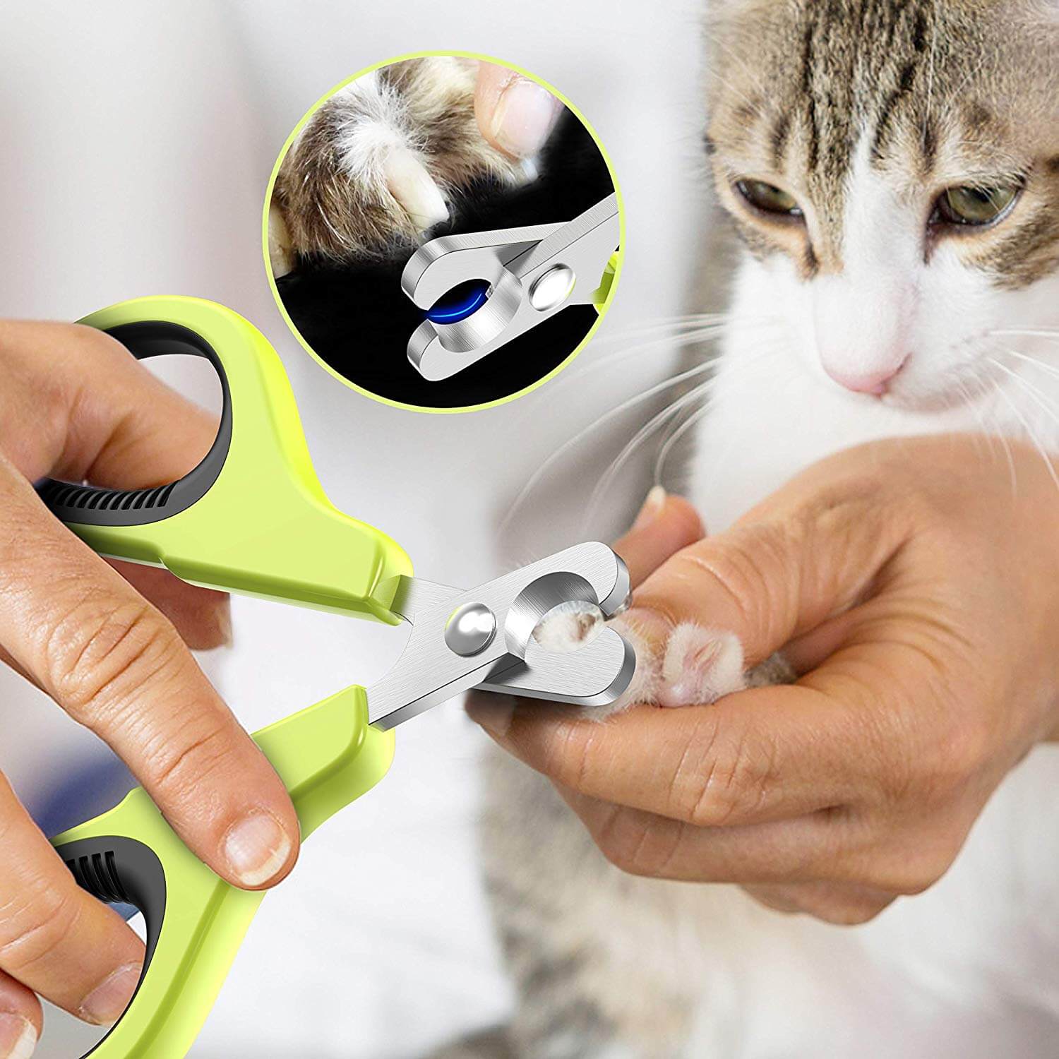 Best Cat Nail Clippers Reddit : Best Nail Clippers For Cats ...