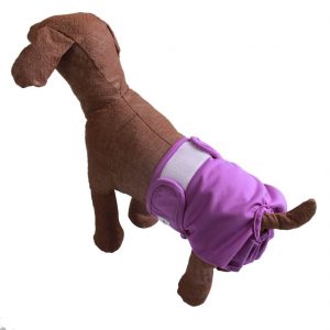 diapers for male dogs with incontinence