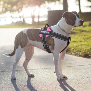 No Pull Dog Harnesses by Bolux Rose red 4