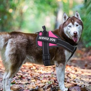 No Pull Dog Harnesses by Bolux Rose red 5