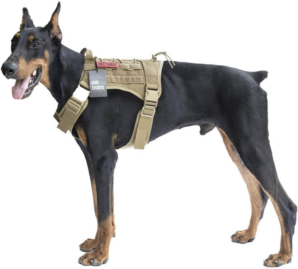 icefang dog harness