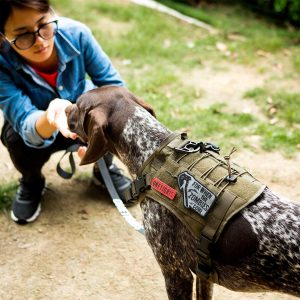 OneTigris Tactical Dog Harness Coyote L 2