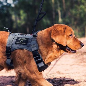 OneTigris Tactical Dog Harness Grey L 2