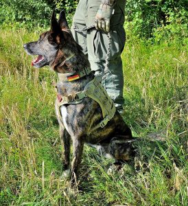 OneTigris Tactical Dog Harness Grey1 M 2