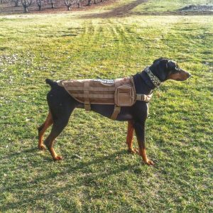 OneTigris Tactical Dog Training Vest Tan 2