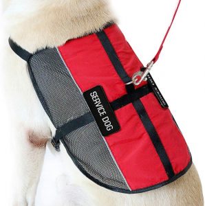 PLUTUS PET Service Dog Vest Red 3