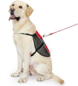 PLUTUS PET Service Dog Vest Red 41