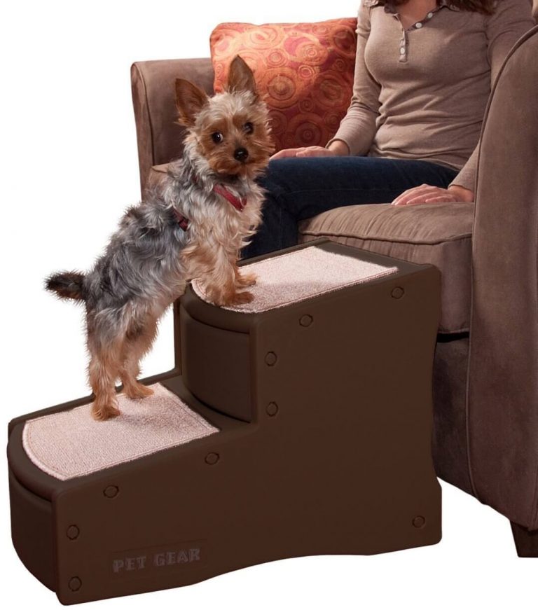 The Best Dog Stairs for Bed in 2023 PawGearLab