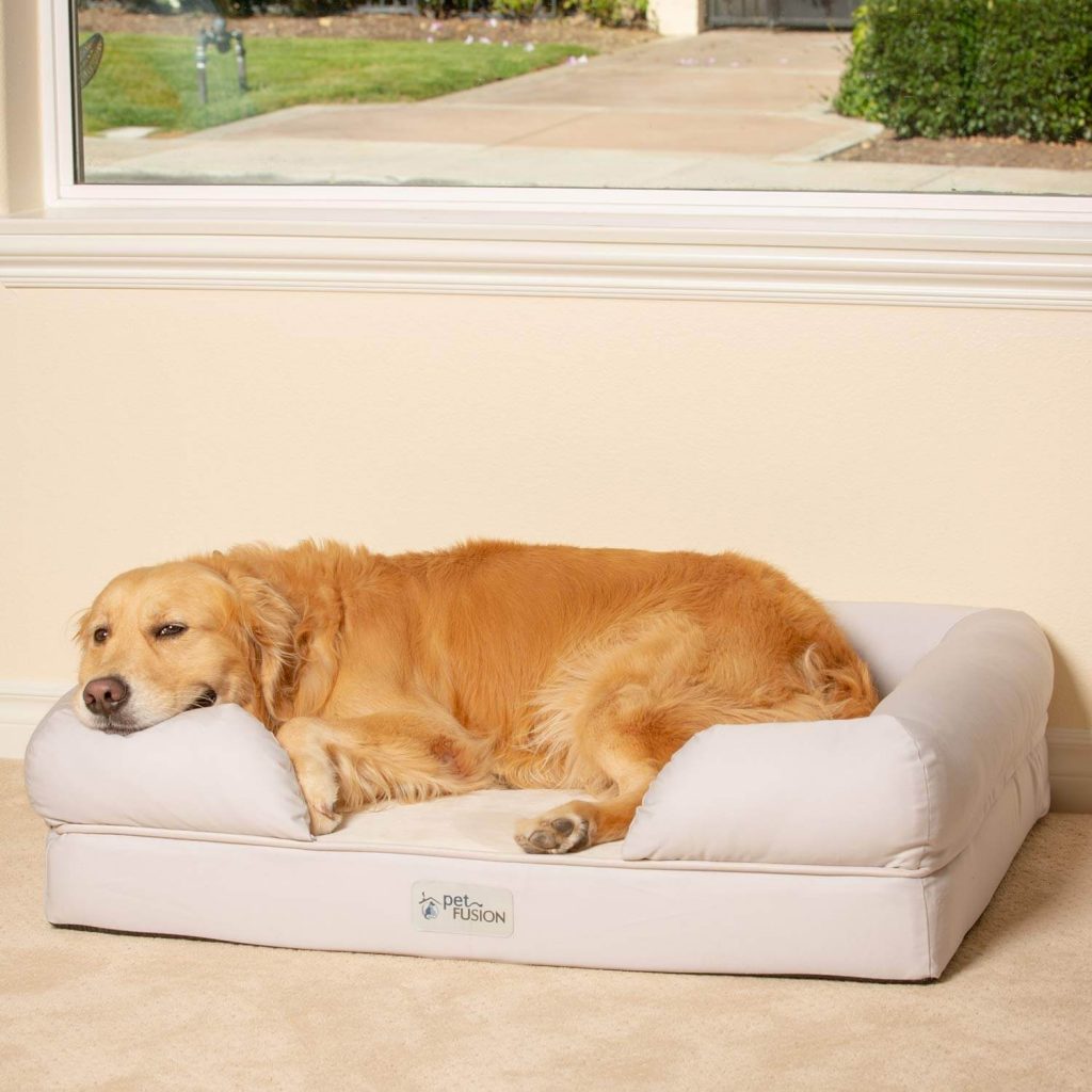 The Best Large Dog Beds In 2023 | PawGearLab