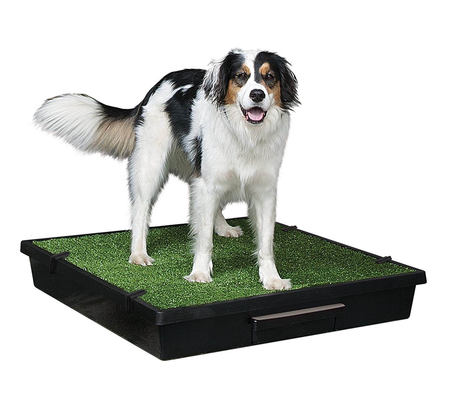 best indoor dog potty for large dogs