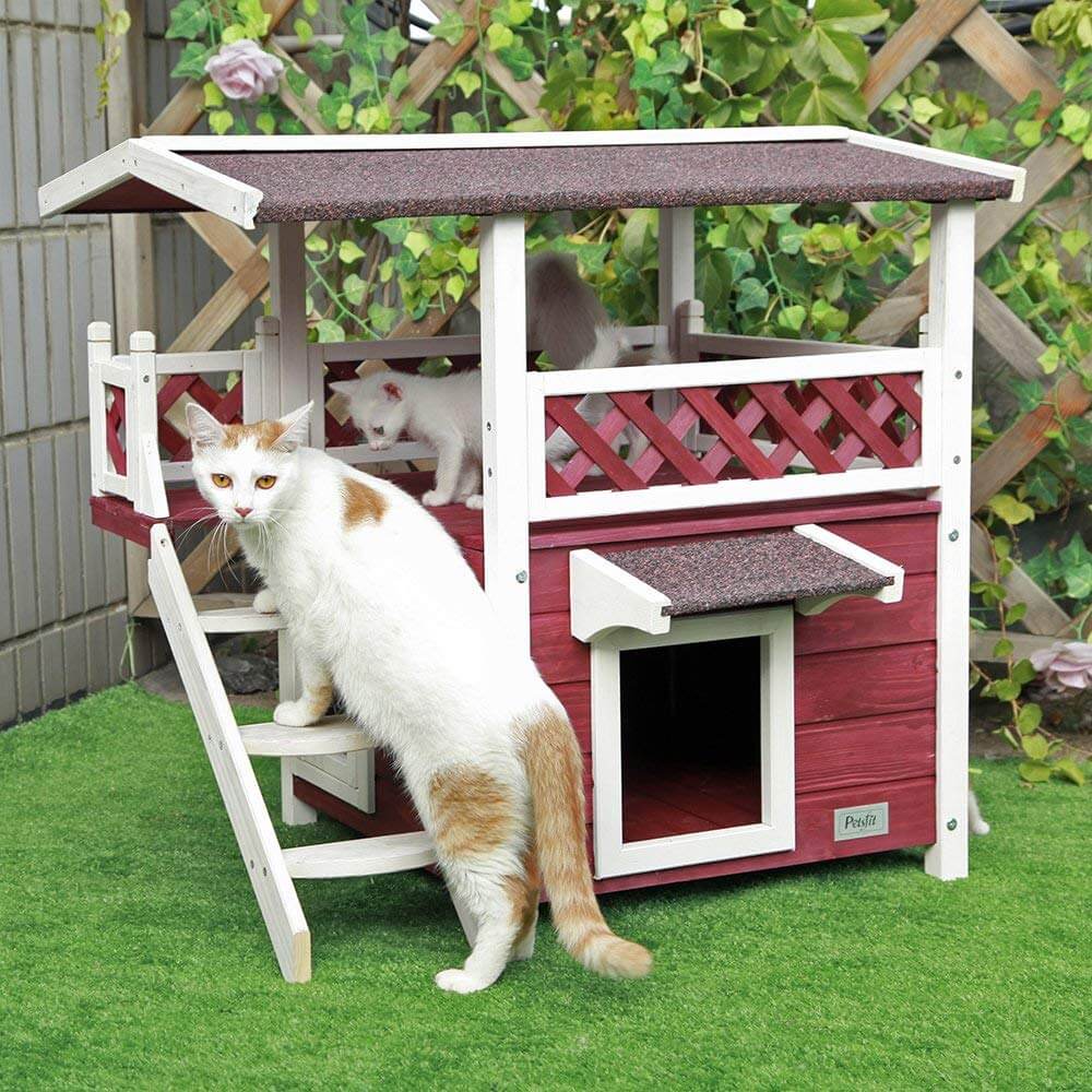 What Are Cat Houses at Caitlin Dobson blog