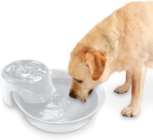 Pioneer Pet Big Max Drinking Fountain White 3