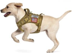 Tactical Service Dog Vest Harness 01 Khaki 1
