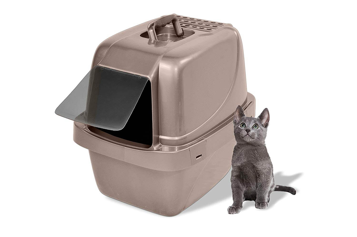 sifting cat litter box