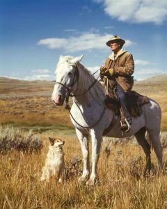 man on white horse next to dog on grassy field 162520
