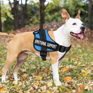 voopet Service Dog Harness Peacock blue 5